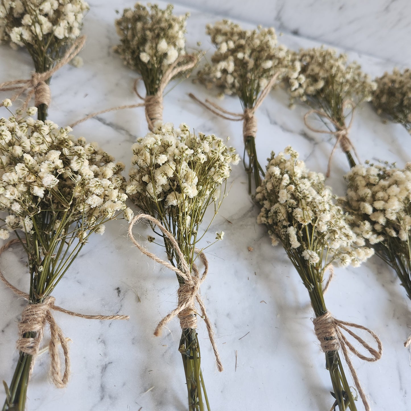 Mini bouquet babys breath