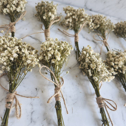 Mini bouquet babys breath