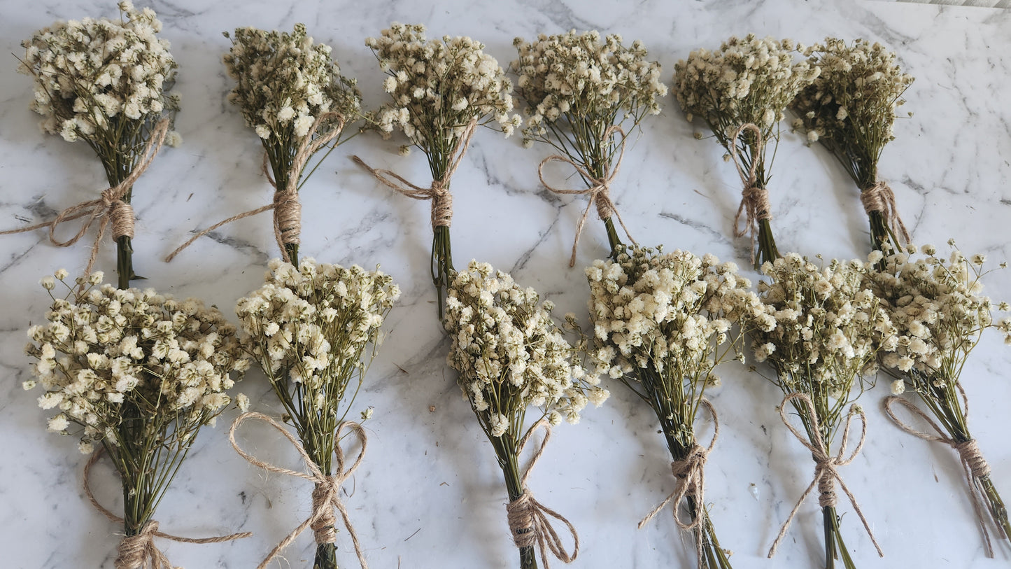 Mini bouquet babys breath